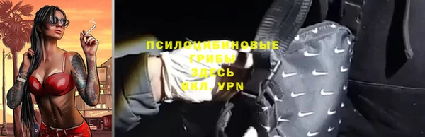 спайс Дмитриев