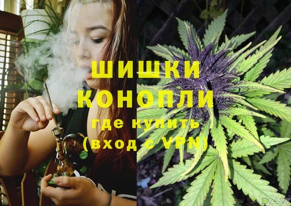 спайс Дмитриев