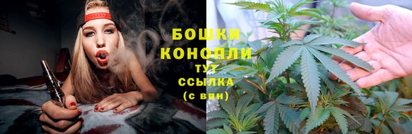 спайс Дмитриев